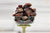 Wannana Dates | Premium Naturally Sweet Dates